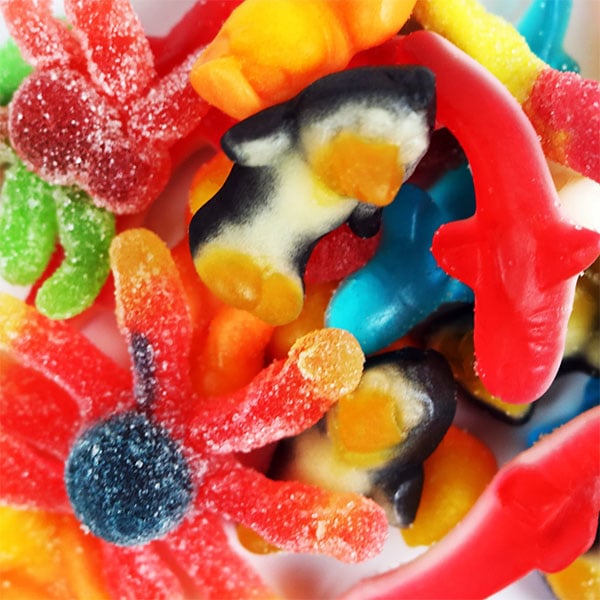 Animal Mix Pick 'N Mix Jelly Flavoured Sweets