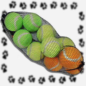 10 x Pet Living Doggy Play Tennis Balls