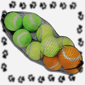 10 x Pet Living Doggy Play Tennis Balls