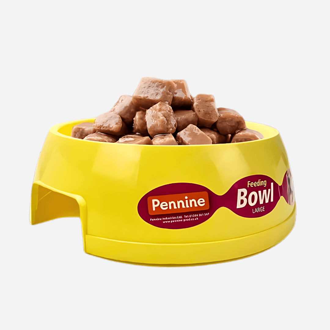 Pennie Large Pet Feeding Bowl