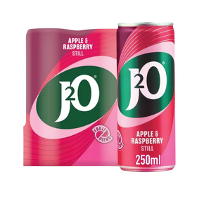 J20 Apple & Raspberry 10 x 250ml Cans