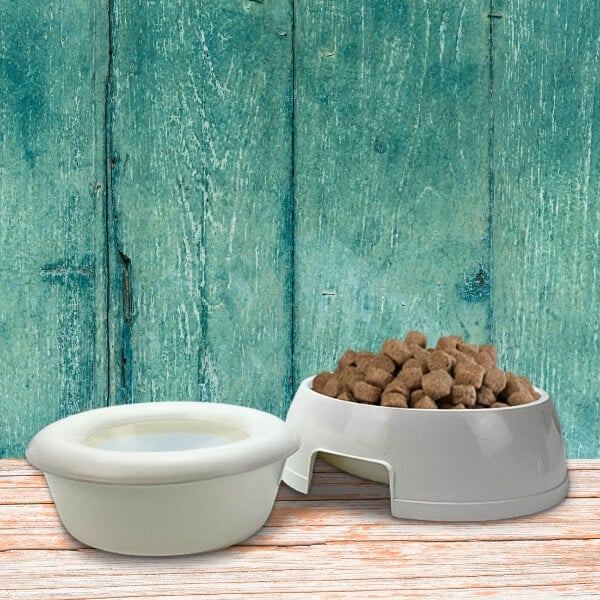 Set Of Two Pet Feeding Bowls