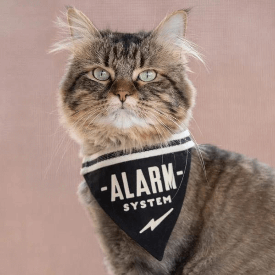 Alarm System Small Pet Bandana