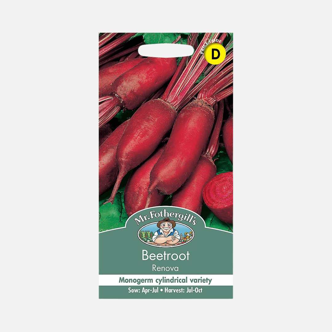 Mr Fothergill's Grow Your Own Beetroot Renova Seeds