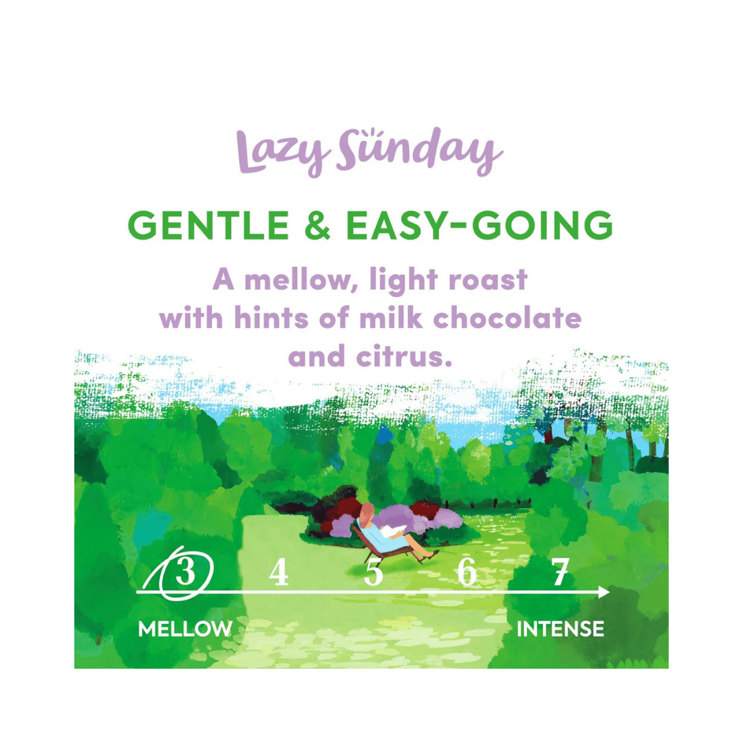 Taylors Lazy Sunday Ground Coffee