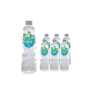 Ursu Alkaline Natural Mineral Water