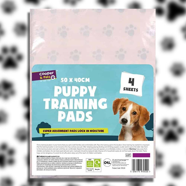 Pets Archives Discount Dragon